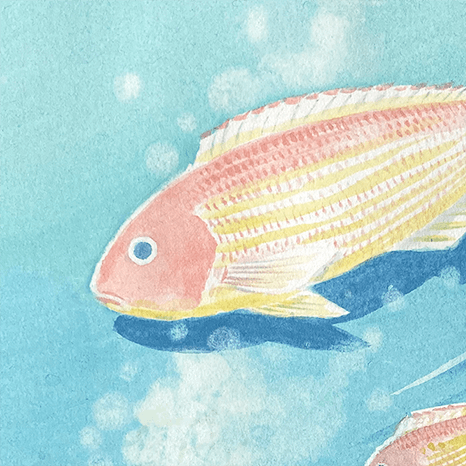 イラストレーション 「紙の魚」